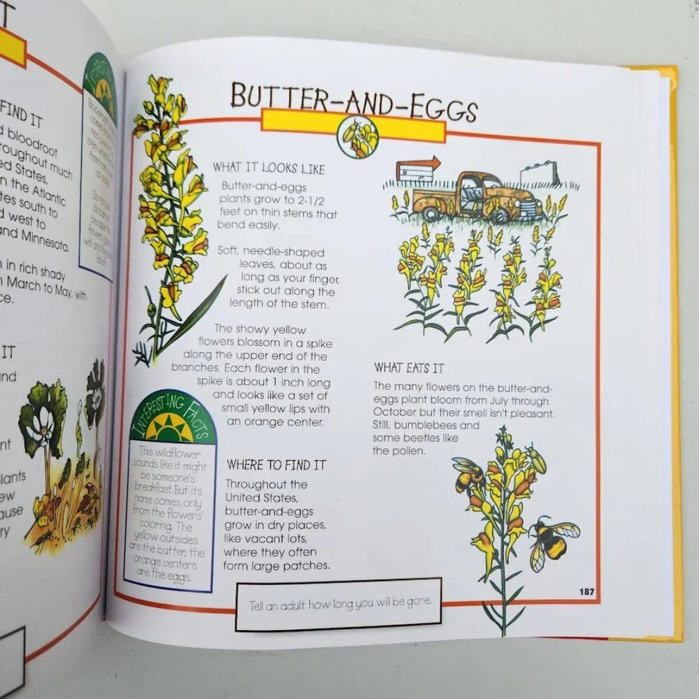 More Fun With Nature Take Along Guides Hardcover Book Activity Journal Craft